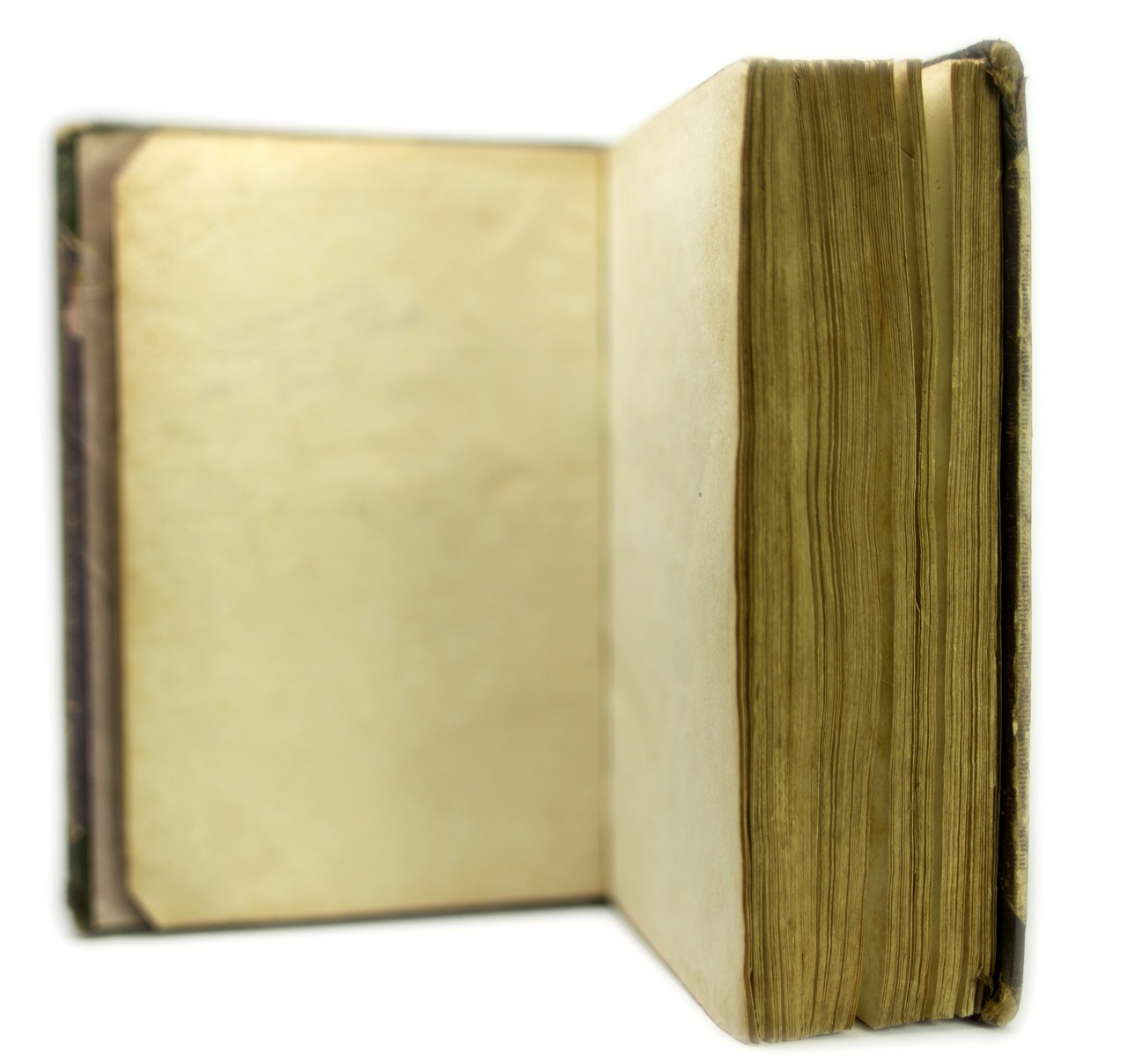 Ideas for Upcycling Old Books